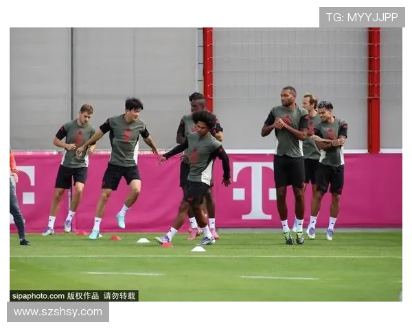 德甲十五队总身价普遍上涨科隆领跑涨幅榜三队出现下滑趋势